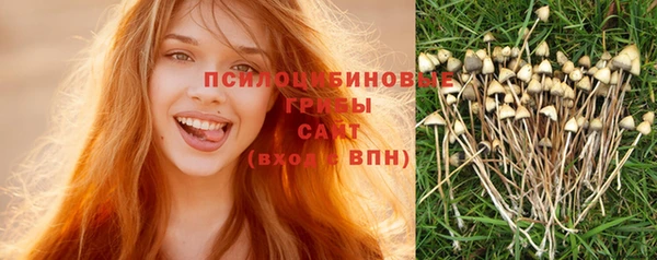 мдма Дмитров