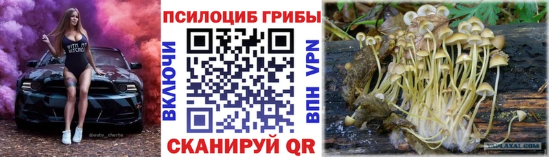 Галлюциногенные грибы мухоморы купить наркотики сайты Емва