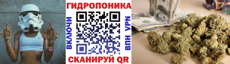 где найти   блэк спрут ONION  Бошки Шишки White Widow  Емва 